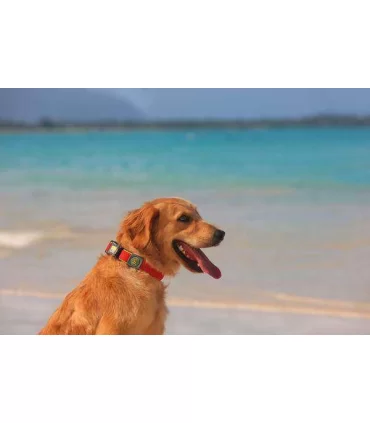 Hunter collare maui vario plus taglia medium rosso