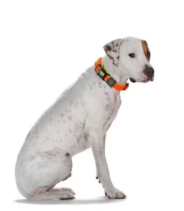 Hunter collare maui vario plus taglia extra large arancio