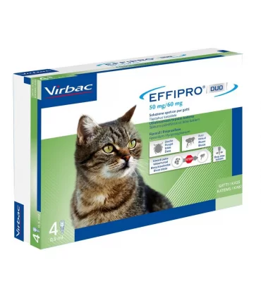 Effipro duo gatto spot-on 50 mg 4 pipette