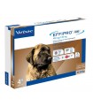 Effipro duo cane spot-on 402 mg 40-60 kg 4 pipette