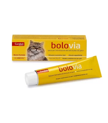 Candioli bolo via pasta gatti 50 gr