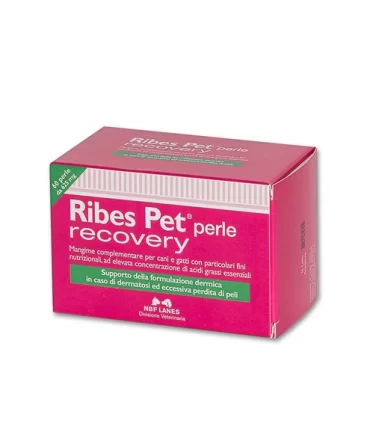 RIBES PET PERLE RECOVERY