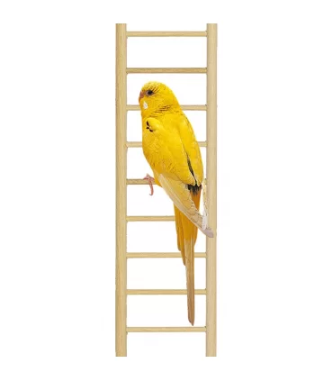 Ferplast PA 4006 scaletta 11 gradini