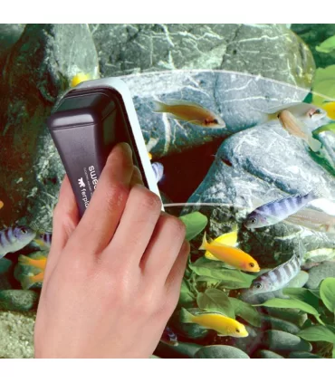 Ferplast blu 9031 mini spazzola magnetica per acquari