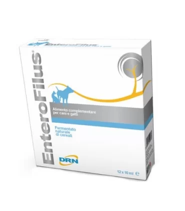 Drn enterofilus 12 fiale 10 ml