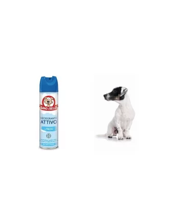 Bayer deodorante talco attivo 250 ml sano & bello