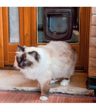 Ferplast swing microchip bianco