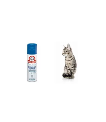 Bayer Shampoo Mousse al Talco per Gatti 200 ml