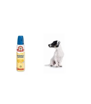 Bayer Shampoo Mousse Pappa Reale per Cuccioli 300 ml sano & bello