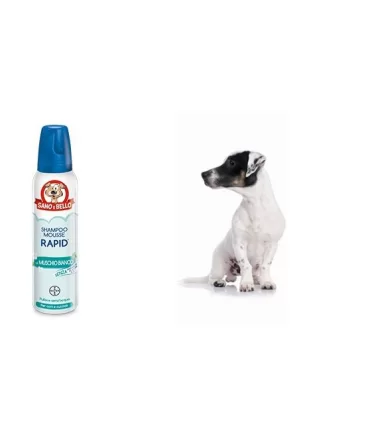 Bayer Shampoo Mousse Rapid Muschio Bianco 300 ml sano & bello