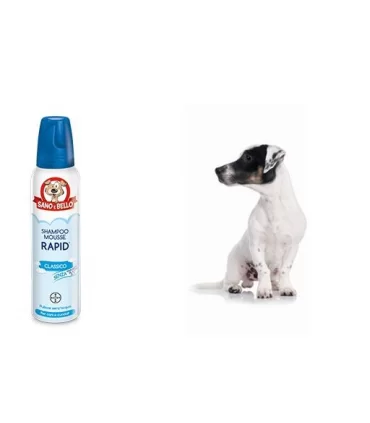 Bayer Shampoo Mousse Rapid classico 300 ml sano & bello