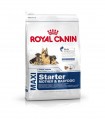 Royal canin maxi starter mother and babydog 4 kg