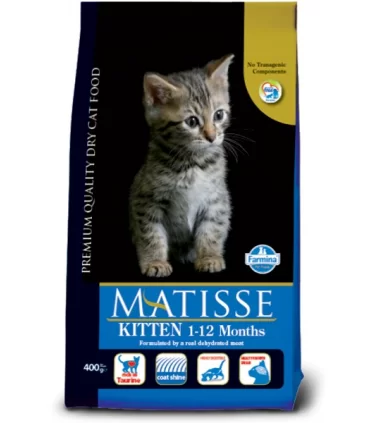 Matisse kitten 10 kg