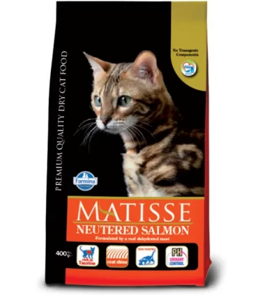 Matisse neutered salmone 10 kg