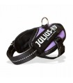 Julius k9 pettorina IDC Power Harnesses PURPLE Tg. BABY2