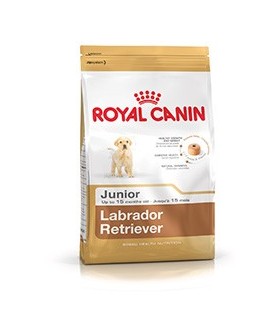 Royal canin labrador junior 3 kg