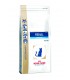 Royal canin renal gatto special 2 kg