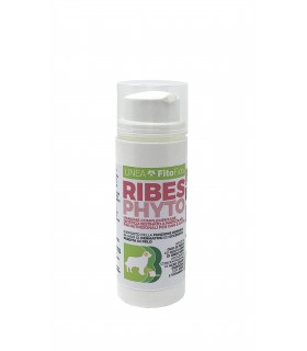 Trrìebifarma Ribesphyto airless 40 gr