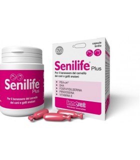 Innovet senilife plus 60 capsule birillo monodose