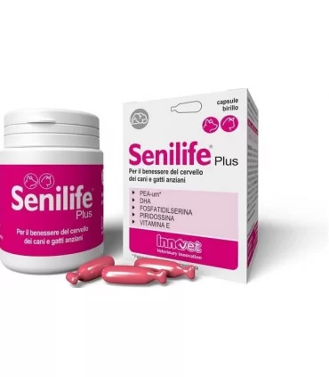 Innovet senilife plus 60 capsule birillo monodose