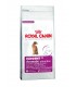 EXIGENT AROMATIC 400 GR R.C.