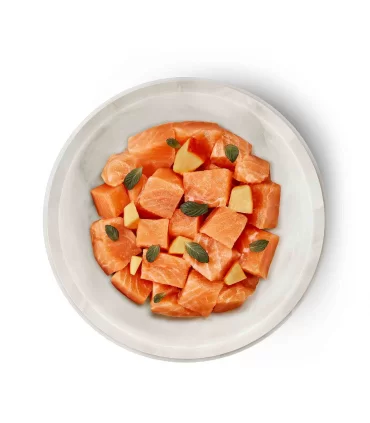 Terra felis salmone 80 gr