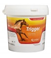 Candioli trigger 1 kg