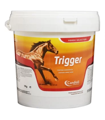 Candioli trigger 3 kg