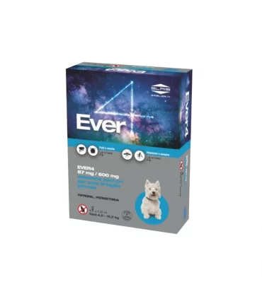 Slais ever 4 spot on 4 pipette cani 4-10 kg taglia piccola