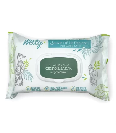 Welly salviette detergenti cedro e salvia rinfrescante 40 pz