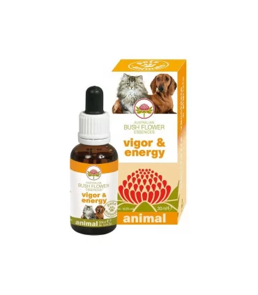 Bush flower vigor & energy 30 ml