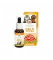 Bush flower vigor & energy 30 ml