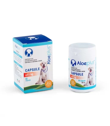 Aloeplus capsule cane +11 kg 60 capsule