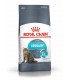 Royal canin gatto urinary care 2 kg