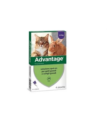 Advantage 80 gatti e conigli grandi