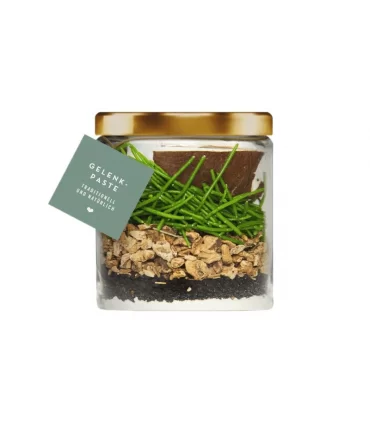 Terra canis pasta articolazione 250 ml