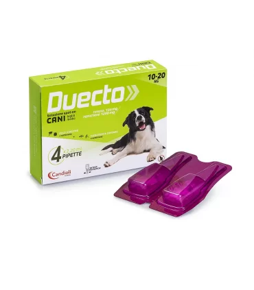 Candioli duecto spot on 4 pipette 10 - 20 kg