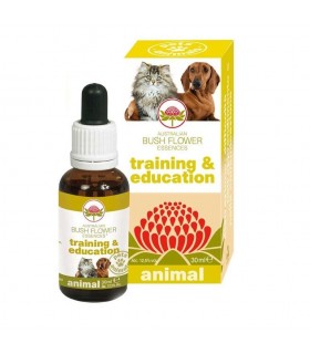 Bush flower training & education 30 ml