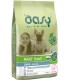 Oasy cane adult small agnello 3 kg