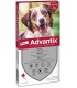 Advantix Spot On 4 pipetta per cani da 10 a 25 kg
