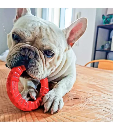 Ferplast smile small anello rosso