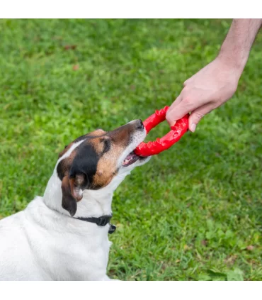 Ferplast smile medium anello rosso