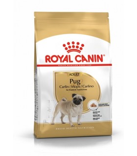 Royal canin pug carlino adult 1,5 kg
