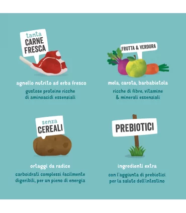 Edgard & Cooper Adult Carne Fresca Di Agnello Nutrito Con Erba Senza Cereali 12 kg