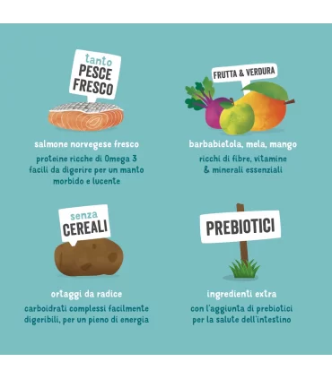 Edgard & Cooper Adult Carne Fresca Di Salmone Norvegese Senza Cereali 2,5 kg