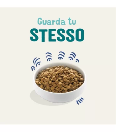 Edgard & Cooper Adult Carne Fresca Di Salmone Norvegese Senza Cereali 12 kg