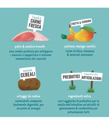 Edgard & Cooper Puppy Carne Fresca Di Anatra E Pollo Allevati A Terra Senza Cereali 12 kg