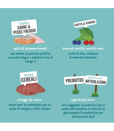 Edgard & Cooper Senior Carne Fresca Di Pollo Allevato A Terra E Salmone Norvegese Senza Cereali 700 gr