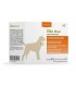 Dynamopet vita medium 20 buste 4 gr