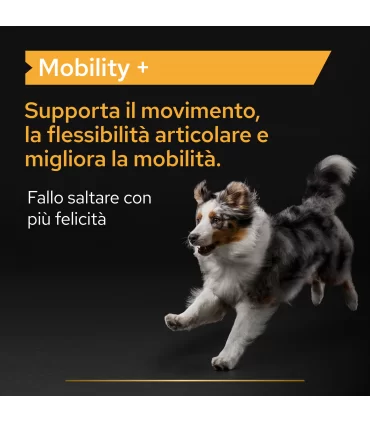 Proplan supplements mobility + cane 60 gr